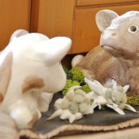 Traditions-gasthaus Bayrischer Hof Otel