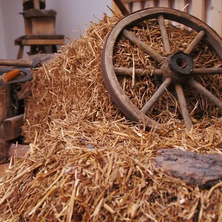 Ξενοδοχείο Traditions-gasthaus Bayrischer Hof 3*