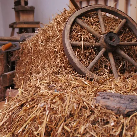 فندق Traditions-gasthaus Bayrischer Hof