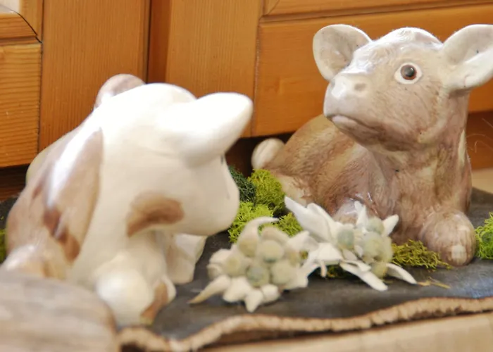 Traditions-gasthaus Bayrischer Hof Hotel