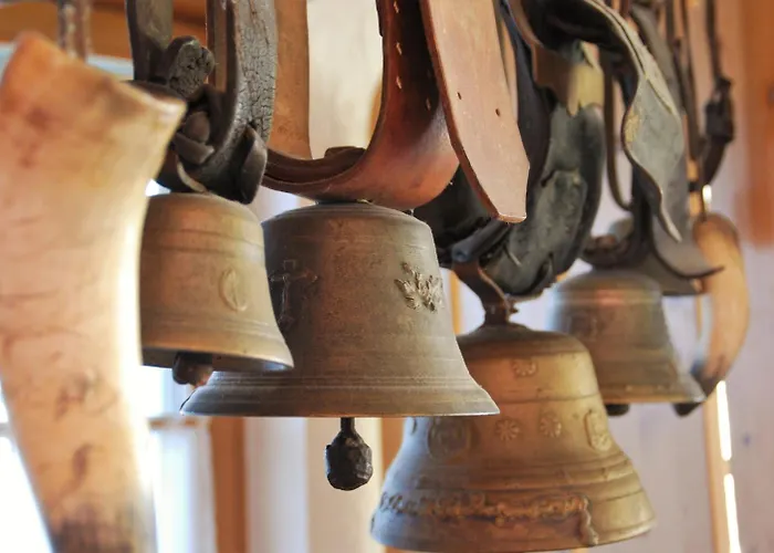 Traditions-gasthaus Bayrischer Hof Hotel