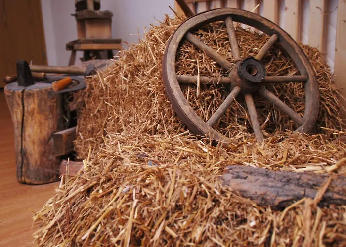 Hotel Traditions-gasthaus Bayrischer Hof 3*